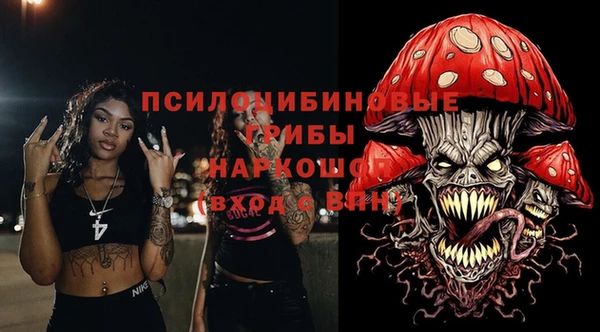 эйфоретик Арсеньев