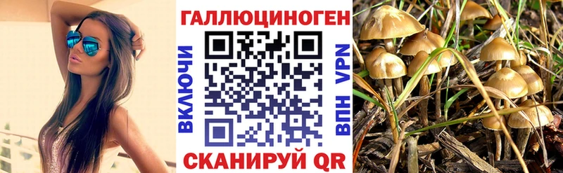 как найти наркотики  Баймак  Псилоцибиновые грибы Psilocybe 